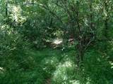 TBD Independence Road - Photo 11