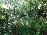 TBD Independence Road - Photo 14