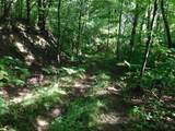 TBD Independence Road - Photo 7