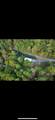3368 Owl Creek Road - Photo 49