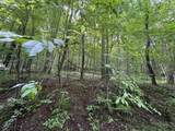 96 Donnie Hill Road - Photo 11