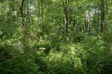 Lot 1 Crim Avenue - Photo 10