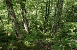 Lot 1 Crim Avenue - Photo 35