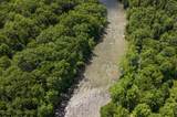 Lot 1 Crim Avenue - Photo 50