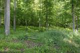 Lot 1 Crim Avenue - Photo 7