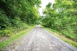 Lot 1 Buck Lick Road - Photo 12
