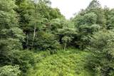 Lot 1 Buck Lick Road - Photo 24