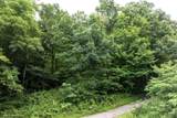 Lot 1 Buck Lick Road - Photo 28