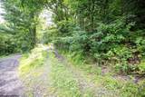 Lot 1 Buck Lick Road - Photo 29