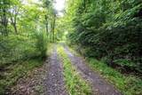 Lot 1 Buck Lick Road - Photo 30
