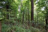 Lot 1 Buck Lick Road - Photo 39