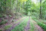 Lot 1 Buck Lick Road - Photo 40