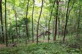 Lot 1 Buck Lick Road - Photo 45