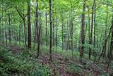 Lot 1 Buck Lick Road - Photo 46