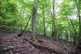 Lot 1 Buck Lick Road - Photo 48