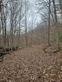 TBD Mcatee Drive - Photo 11