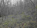 TBD Mcatee Drive - Photo 15