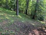 2007 Buckhannon River Road - Photo 44