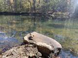2007 Buckhannon River Road - Photo 47