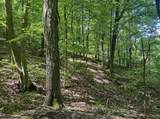 TBD Rush Run Road - Photo 1
