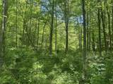 TBD Rush Run Road - Photo 10