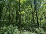TBD Rush Run Road - Photo 8