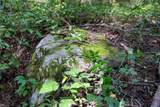 TBD Preston Highway - Photo 15