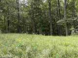 TBD Helens Run Road - Photo 4