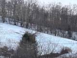 1021 B Clover Run Road - Photo 6