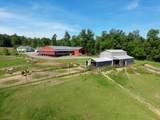 301 Dinkenberger Road - Photo 35