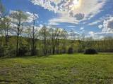 TBD Dupont Road - Photo 2