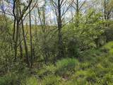 TBD Dupont Road - Photo 7