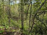 TBD Dupont Road - Photo 9