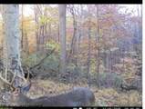 720 Fairview Road - Photo 35
