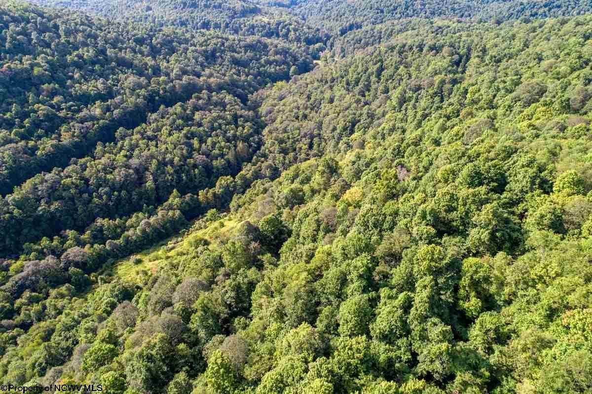 2785A Mt Zion Road - Photo 1