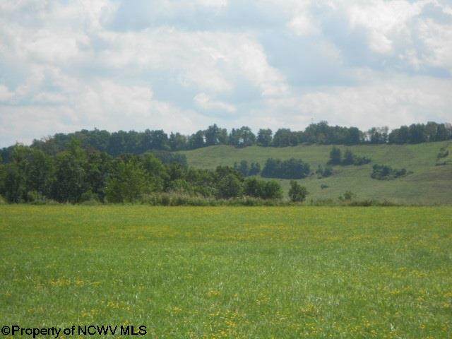 TBD Lot 3 Eaton Court - Photo 1