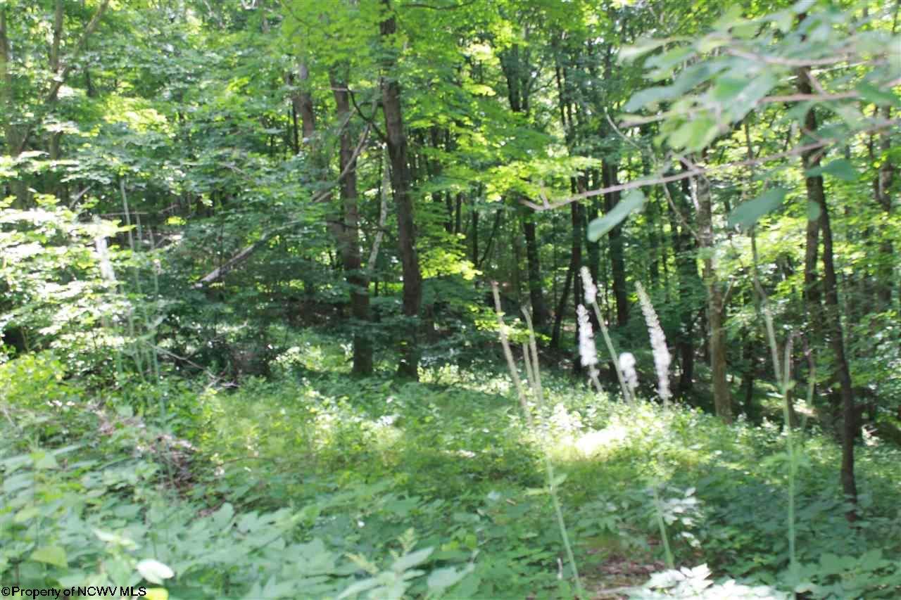 Lot 14 Meadows Road - Photo 1