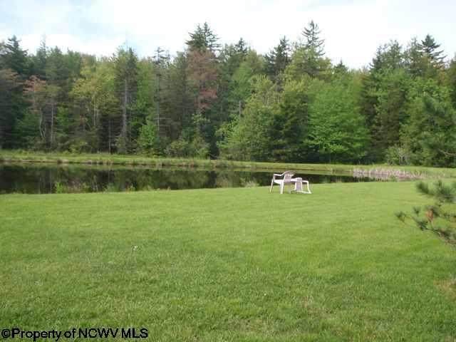1, 2 & 3 Red Spruce Trail - Photo 1