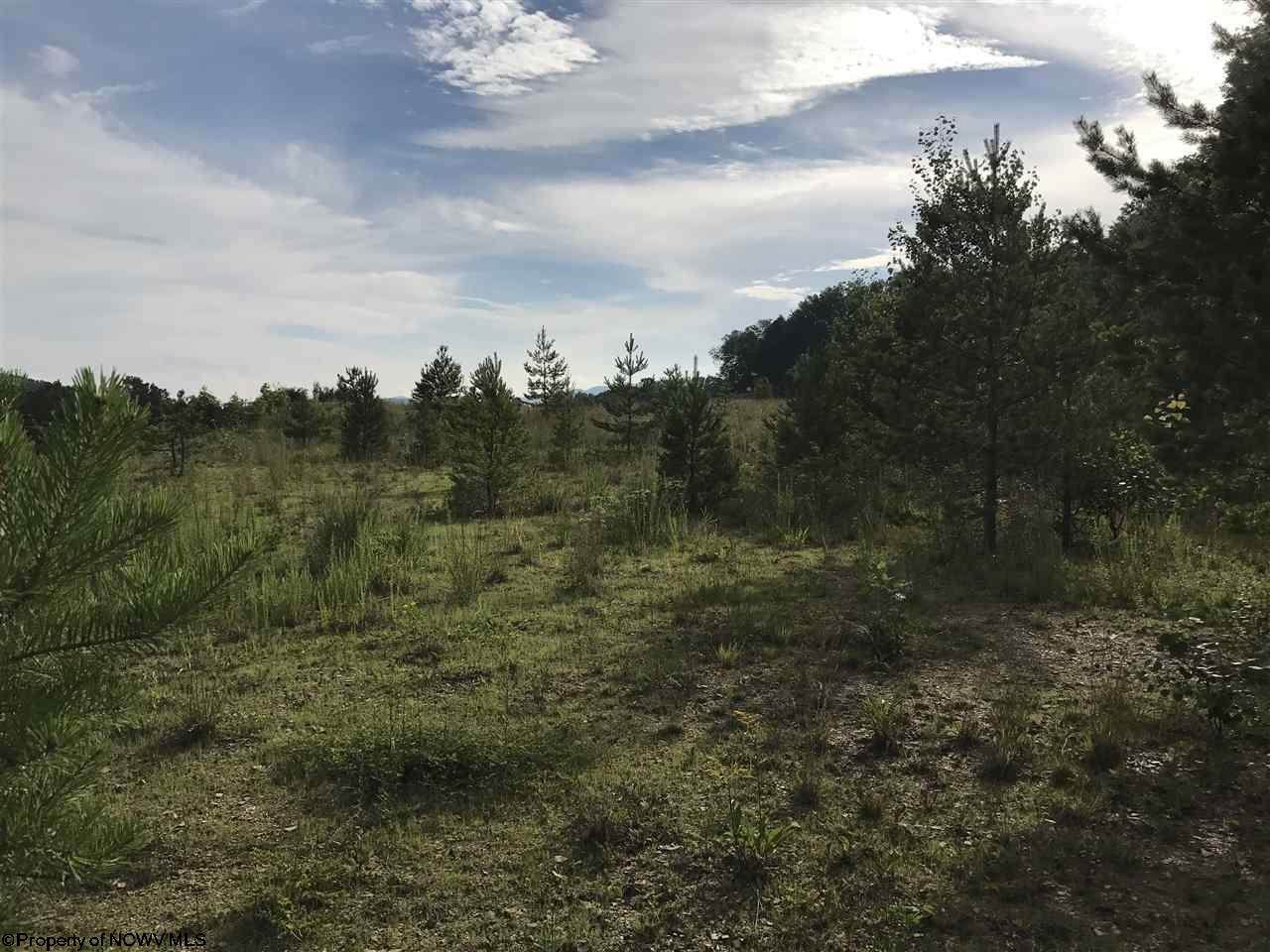 TBD Beverly Pike - Photo 1