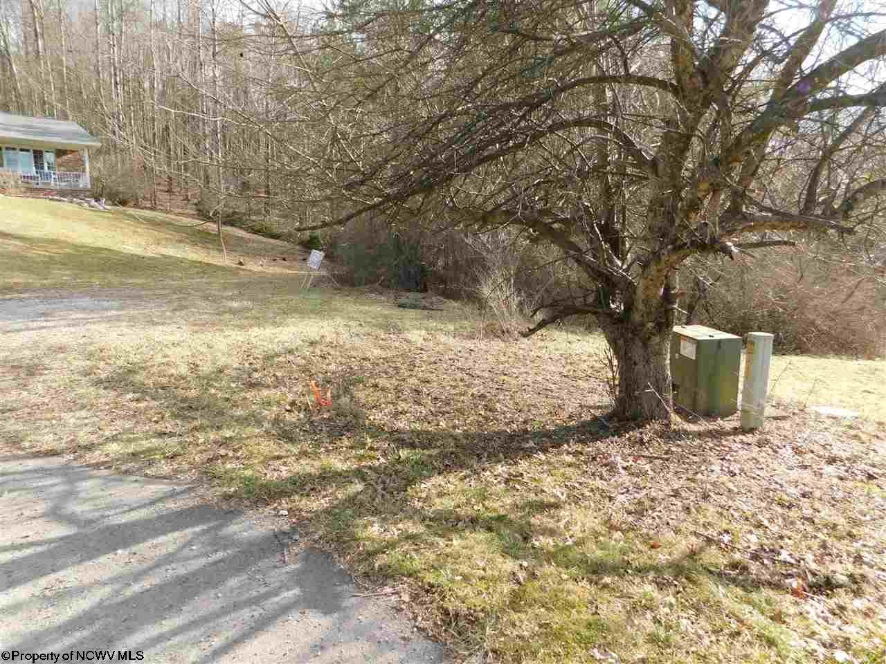TBD Red Oak Lane - Photo 1