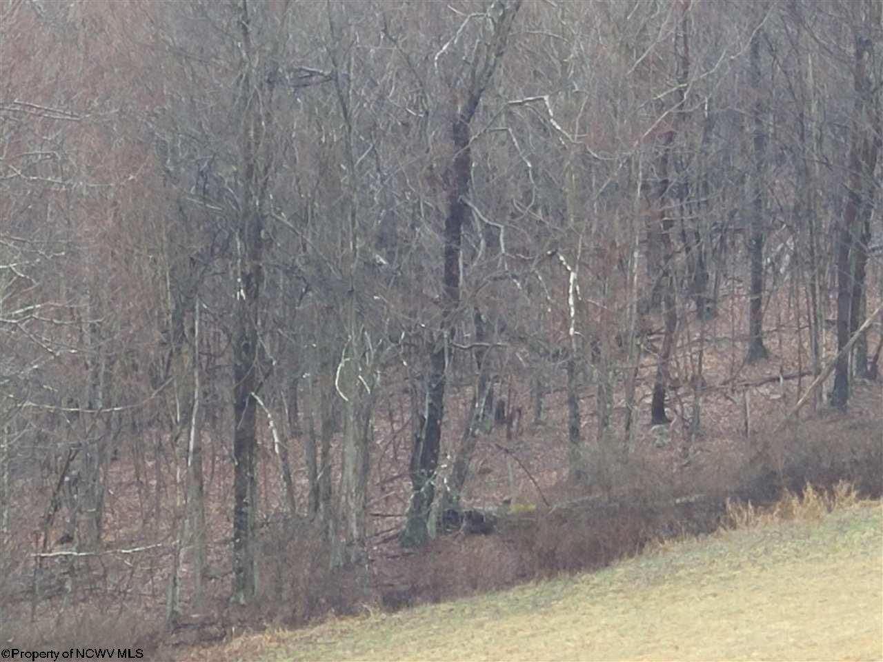 TBD Glade Run Road - Photo 1
