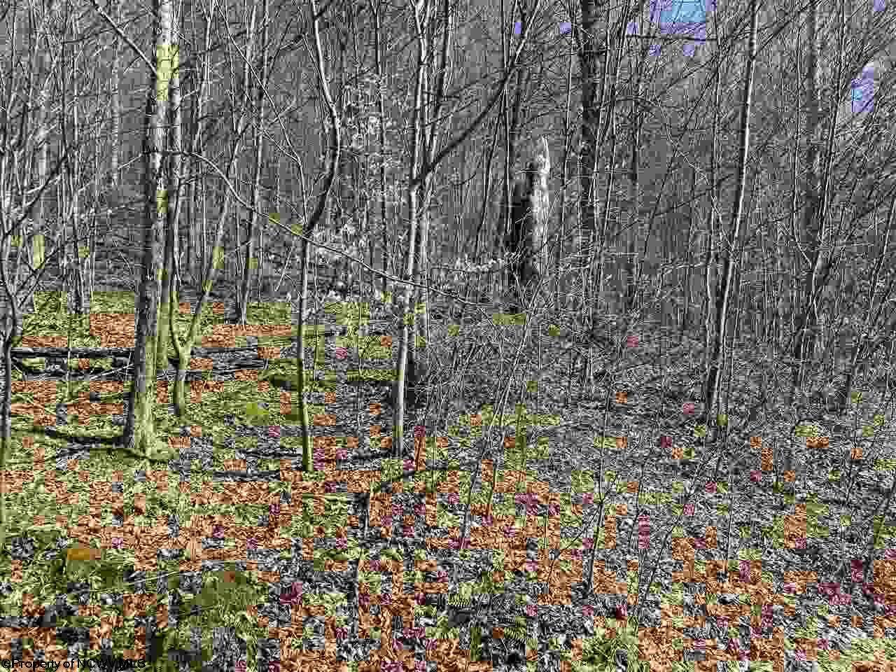 tbd Serene Drive - Photo 1