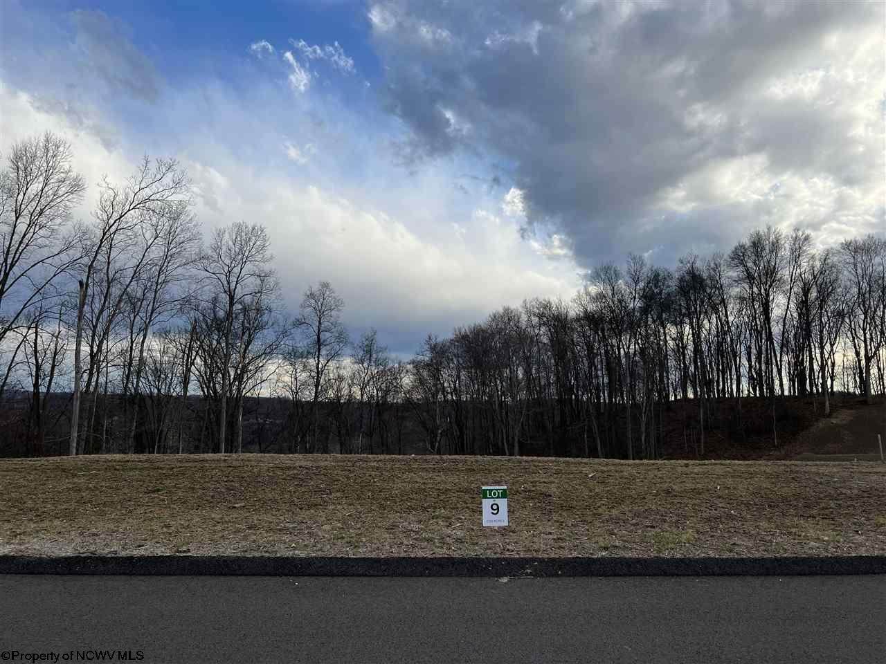 Lot 9 Eagle Glen Court - Photo 1