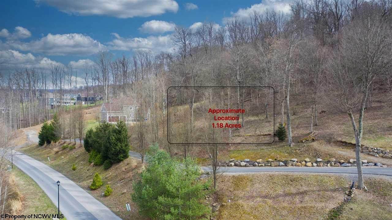 Lot 30 Falling Water Lane - Photo 1