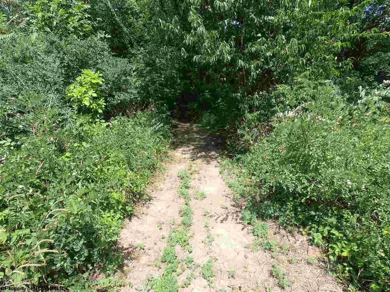 TBD Longhorn Lane - Photo 1