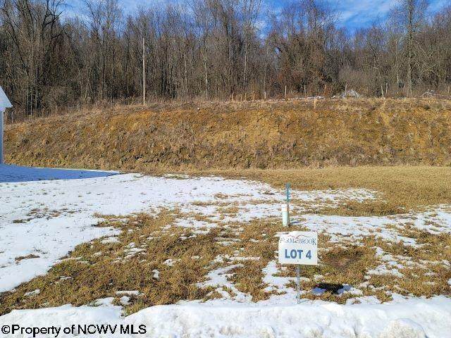 207 Farm Brook Lane - Photo 1