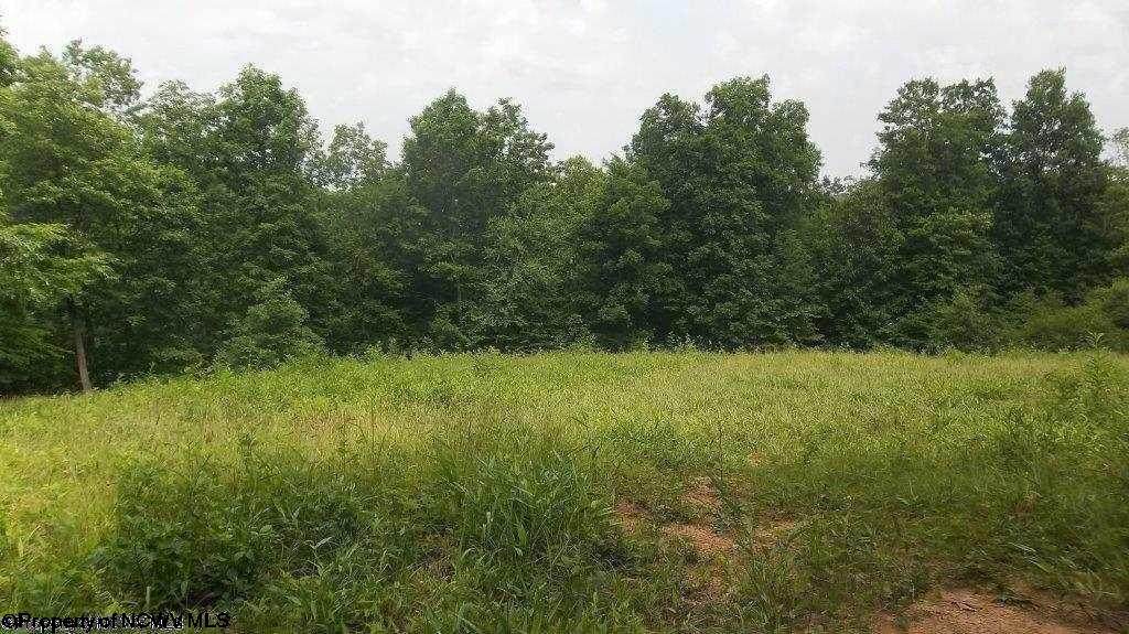 LOT 2 Jacksons Ridge @ Stonewall Lake Cove - Photo 1