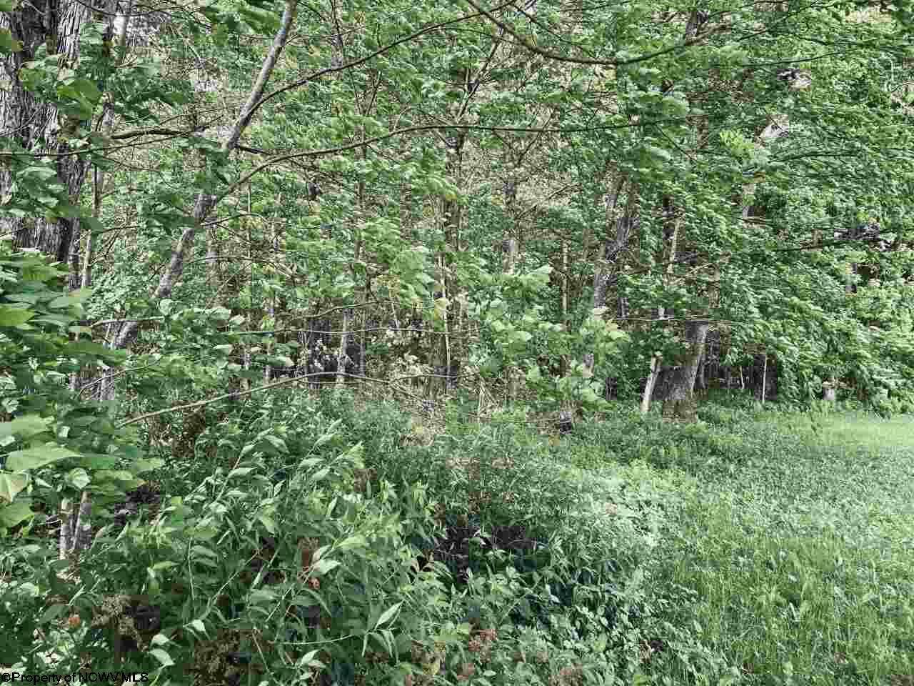 Lot 1 Dennis Road - Photo 1