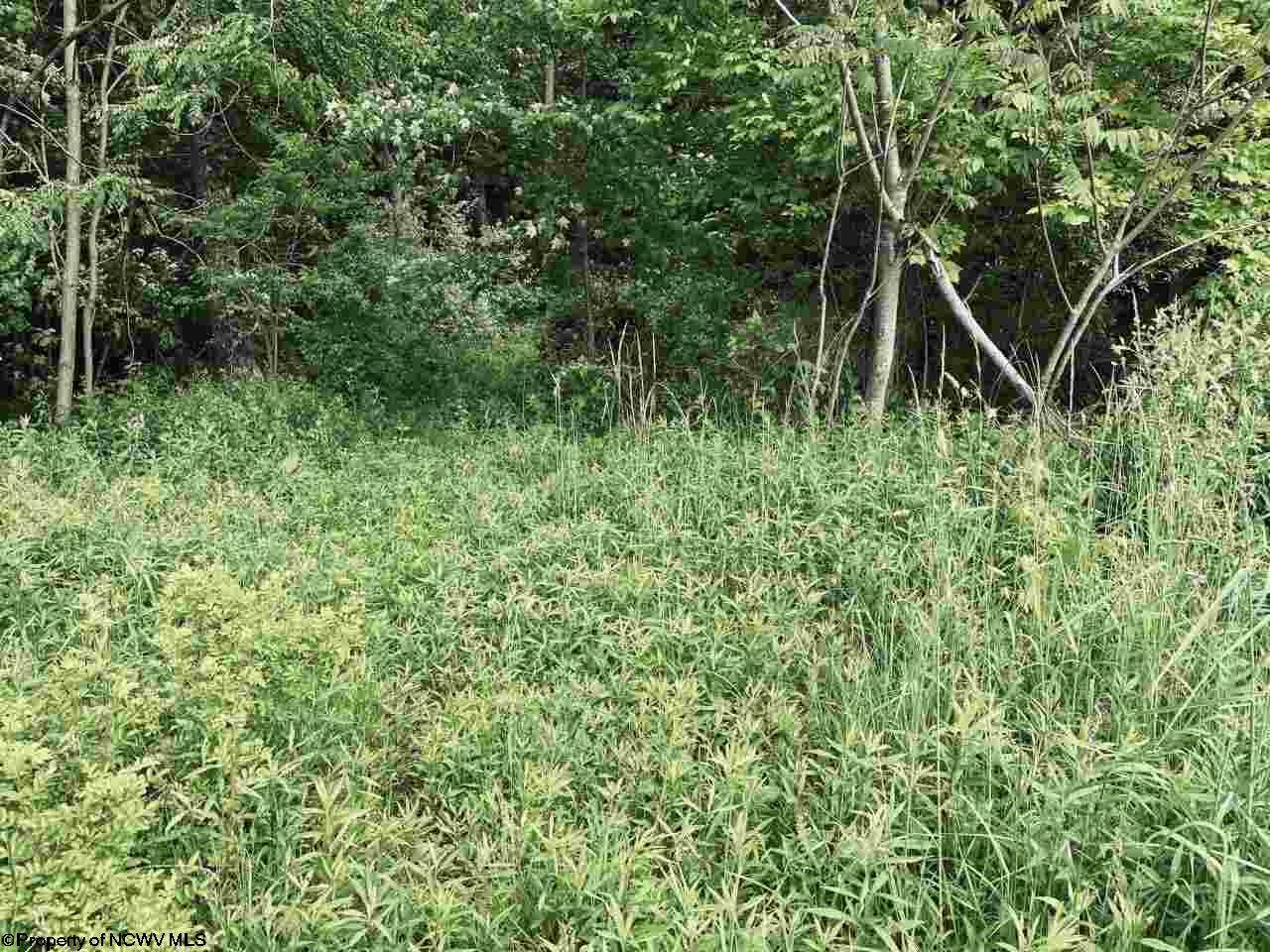 Lot 3 Dennis Road - Photo 1