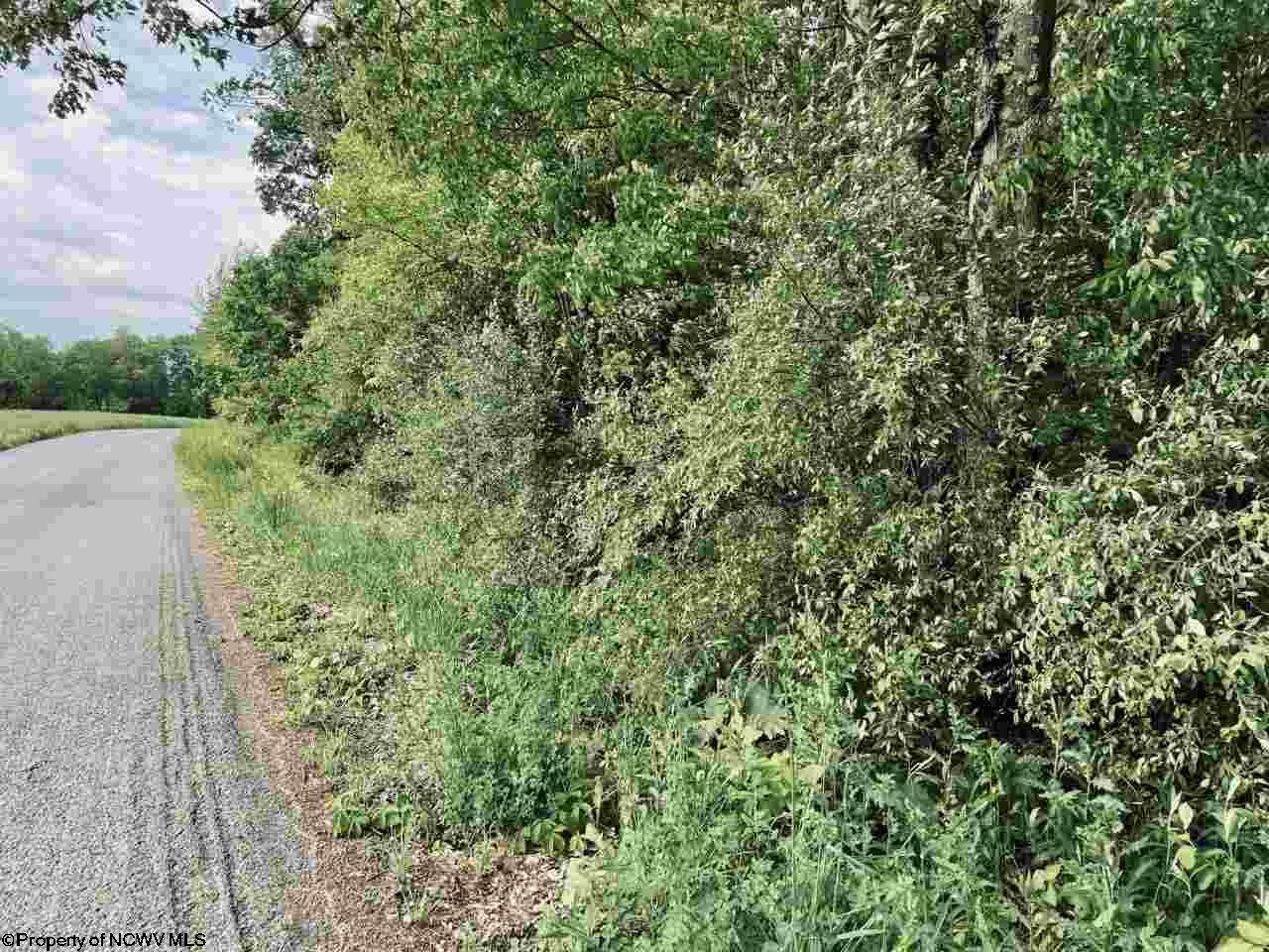 Lot 2 Dennis Road - Photo 1